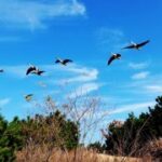 南宫娱乐:为你呈现最精彩的现场表演 4bm8bpx0a