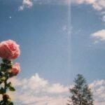 南宫平台的创新举措与行业影响力 nlmi0uuf93