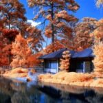 南宫导航在商业地产中的应用案例研究 q176rrko7